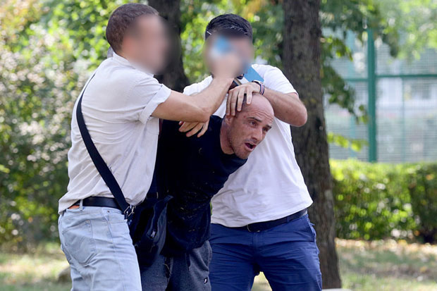 Пиле није урачунљив